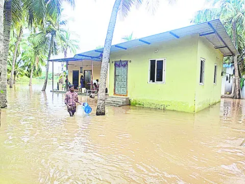 7న మినీ ఉద్యోగ మేళా 