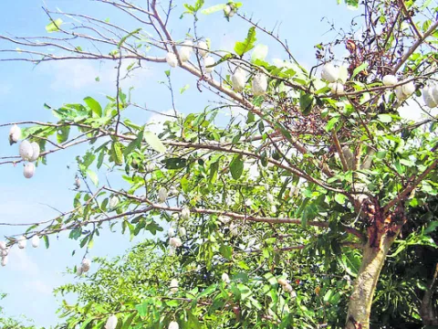 ‘పట్టు’విడువరూ..!