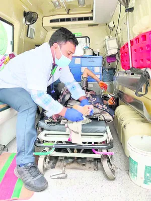 సెల్య