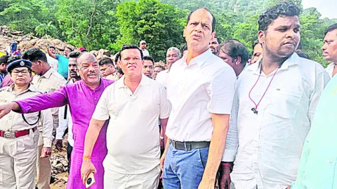 విలయా