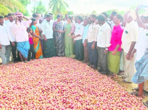 ఉల్లి రైతుల గోడు పట్టదా బాబూ?