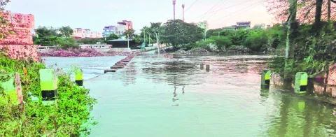 జంట జ