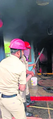 ఆవు ఢ