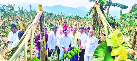 రైతన్నను ఆదుకోవాలి 
