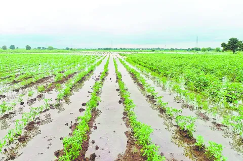పరిహారం పరిహాసమేనా!