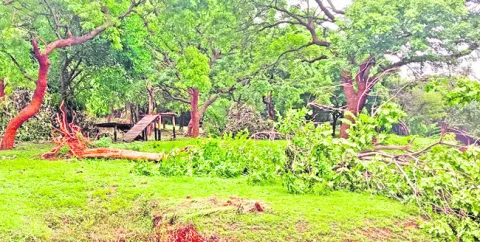 గాలుల