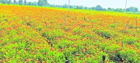 రైతుల