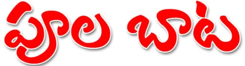 సాగు 