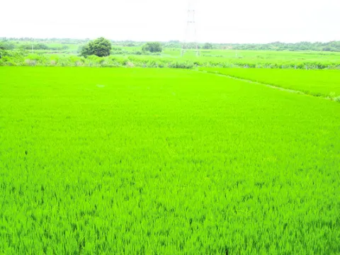వరుణుడి కటాక్షం
