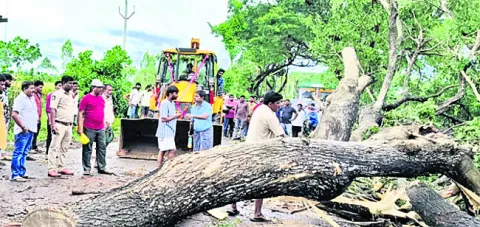 సొంత 