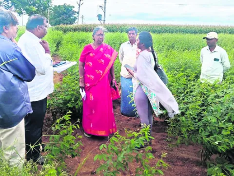 సా...గుతున్న ఈ–క్రాప్‌ 