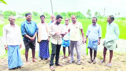 సర్వే
