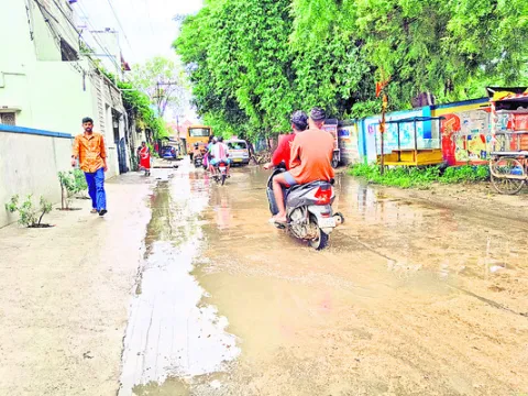 కాలువలు లేక.. నీరు ముందుకు కదలక 