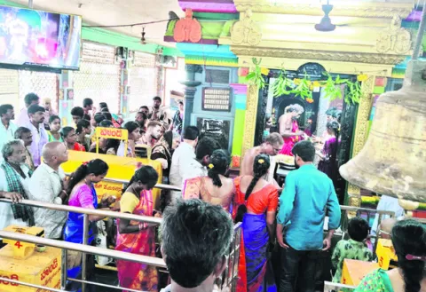 మద్ది