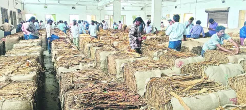 రైతులకు ఊరటనిచ్చిన పొగాకు మార్కెట్‌ 