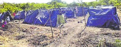 పత్తి తీతకు కూలీల కొరత