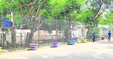 టార్గ