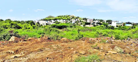 కోర్ట