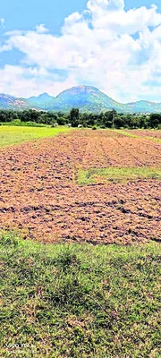 రైతు భూమిపై టీడీపీ నేత కన్ను