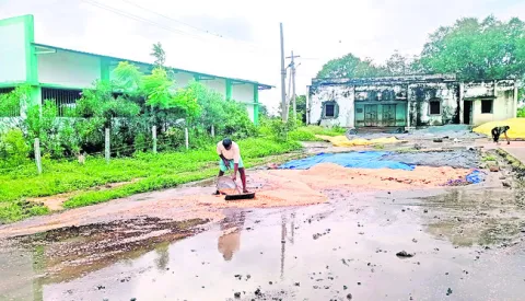 దంచి 