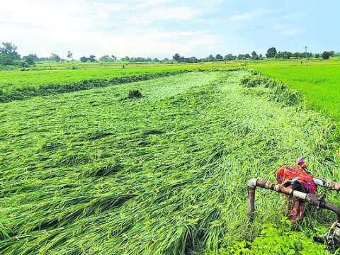 కుమ్మరించిన వాన