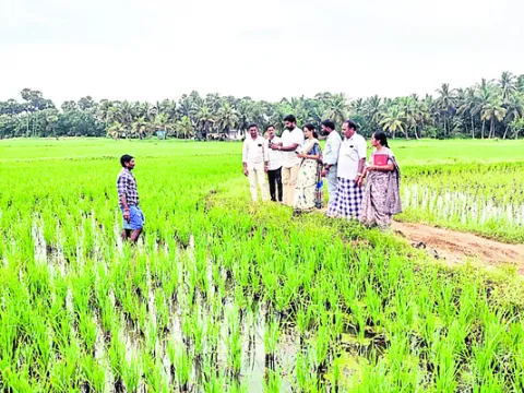 ఈ–తంటా..!