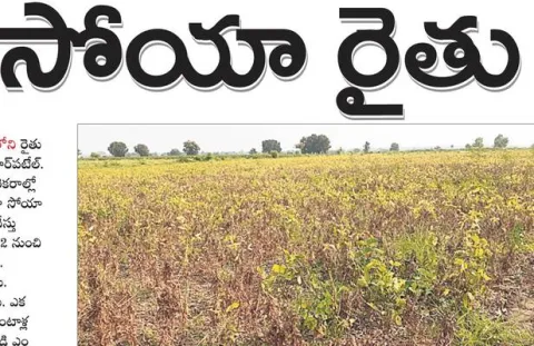 నిర్మ