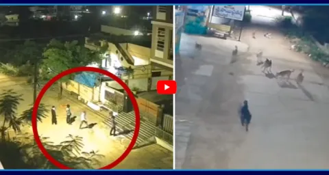 Dogs Track Down Gang Of Thieves In Metpalli 1