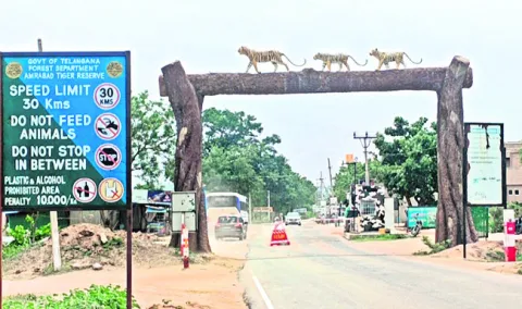 మరో క