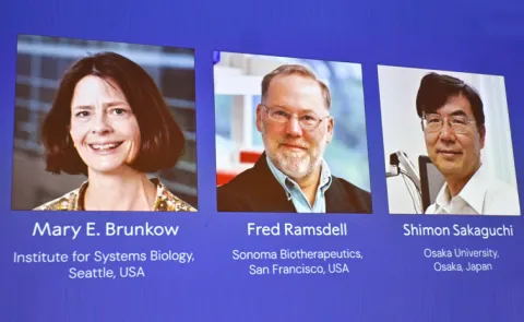 Nobel prize 2025 Medicine Award winners