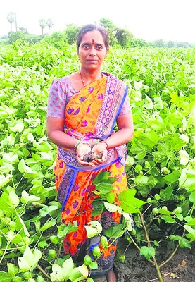 ప్రభు