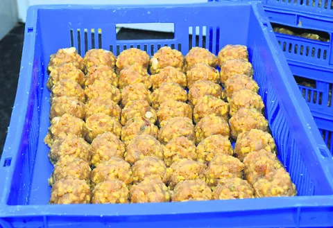 మదర్‌ డెయిరీకి మరిన్ని కష్టాలు 