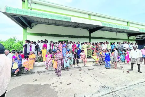 యూరియ