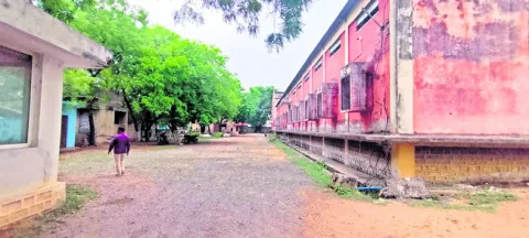 శనగ విత్తు అందక రైతుకు బెంగ