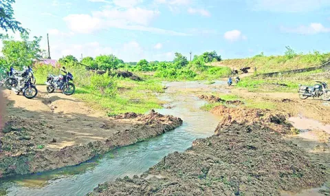 కాంట్