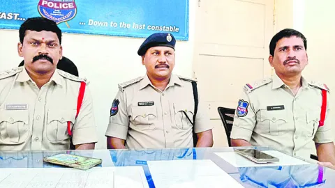 రౌడీ 