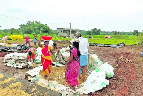 కోతలక