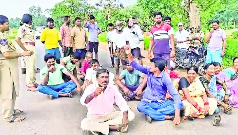 పోడు భూముల్లో తుమ్మ మొక్కలు నాటొద్దు