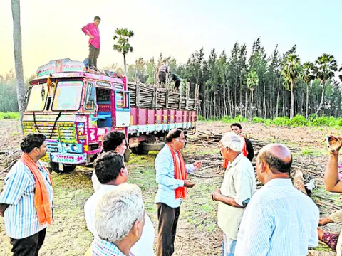 కోర్ట