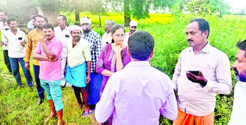 ఎర్రబ