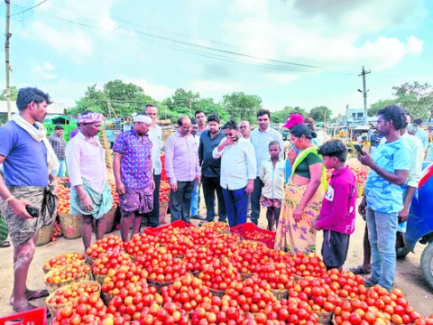పత్తి
