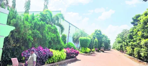 వీకేర్‌ సీడ్స్‌ కంపెనీపై  ఐటీ దాడులు 
