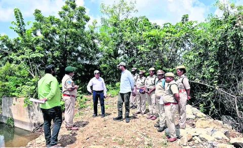 పర్మిట్లలో లోపాలపై అధ్యయనం