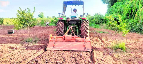 పంటకో