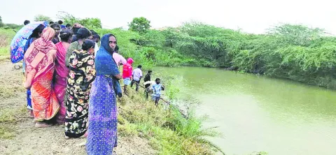 వాల్మ
