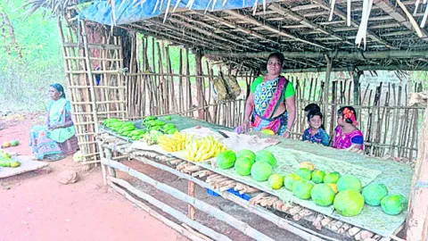 పోడు పంట.. ఆరోగ్యకరమంట..! 