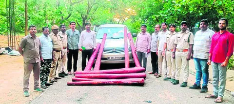 ఎర్రచందనం దుంగలు స్వాధీనం 