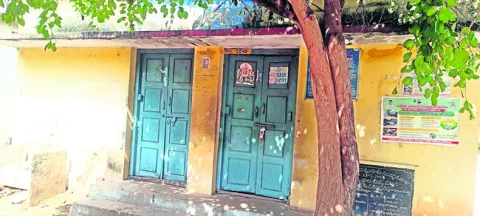 పశు వ