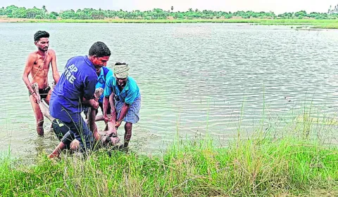 నదిలో
