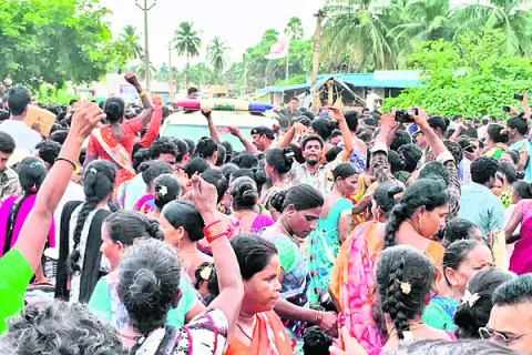 ఎగసిప